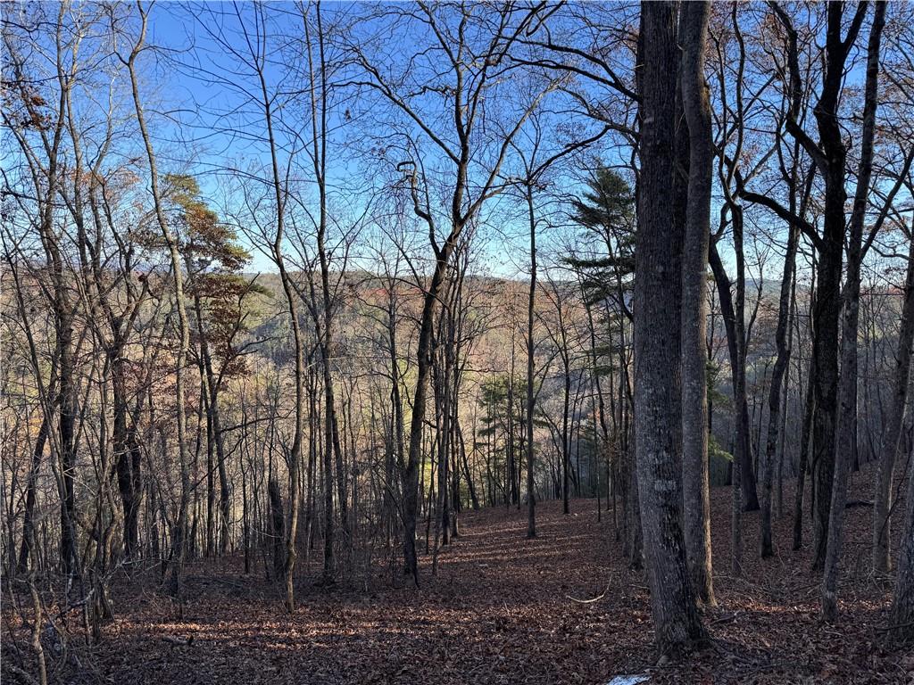 a view of outdoor space with lots of trees