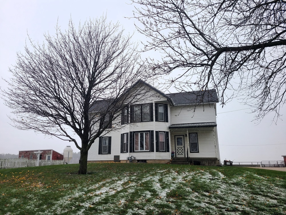 a view of a yard in front of a house with large tree