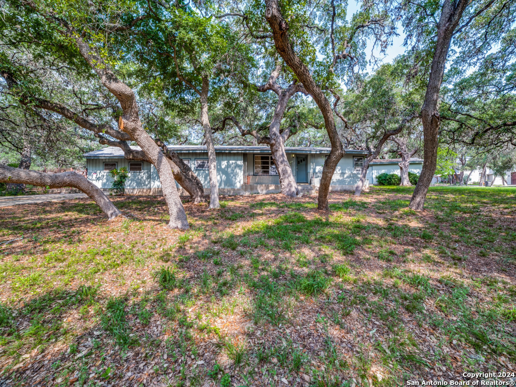 a view of a house with backyard and tree