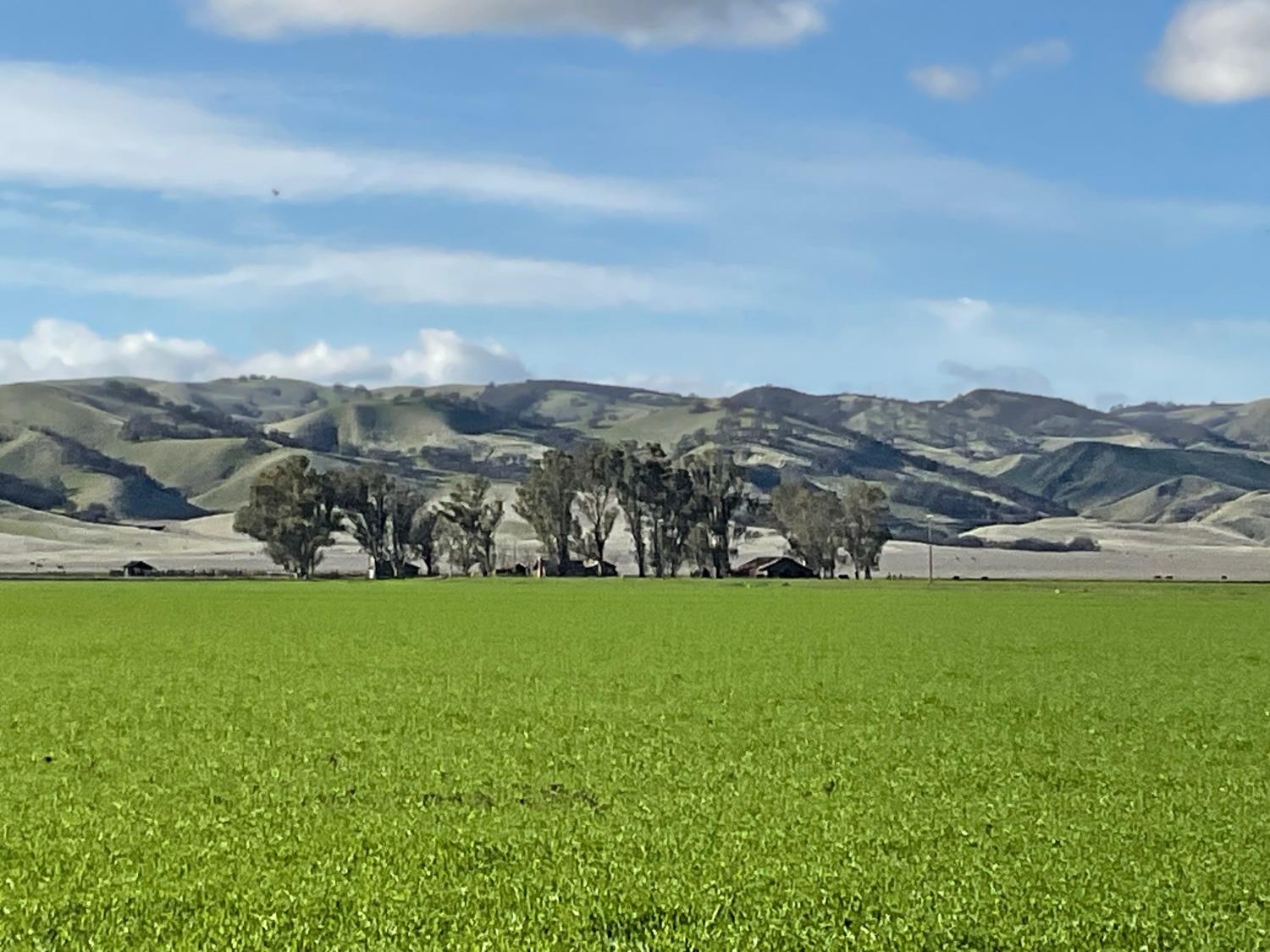 a view of a lush green field with mountains in the background