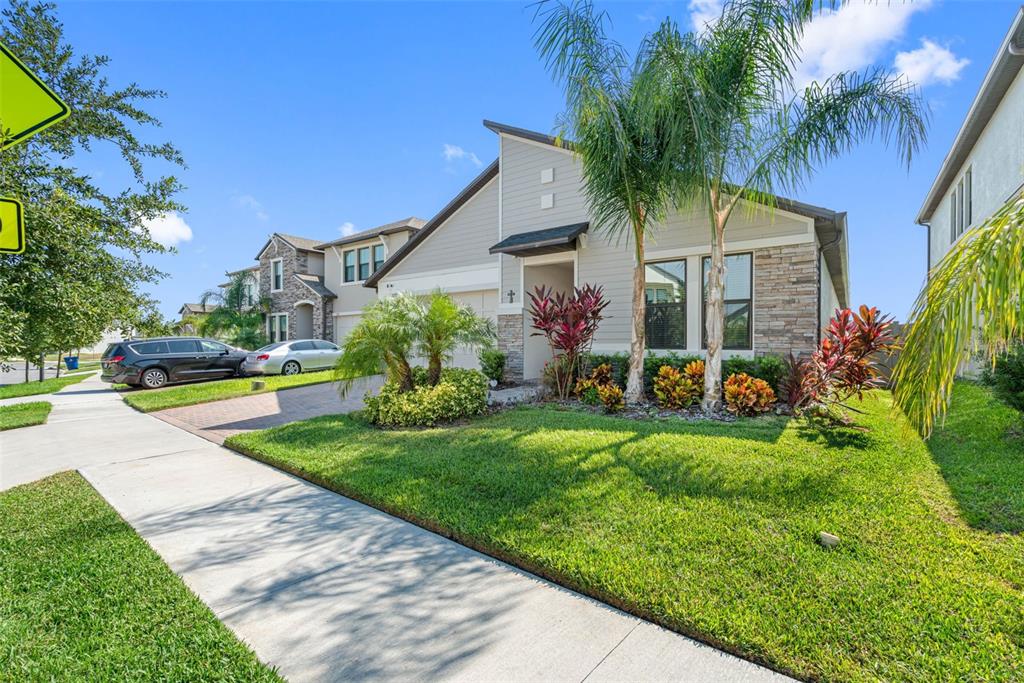 a view of a house with a yard and palm trees