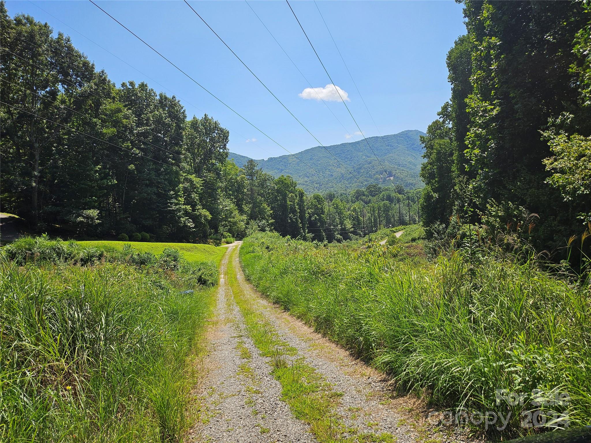 a view of a pathway with a yard