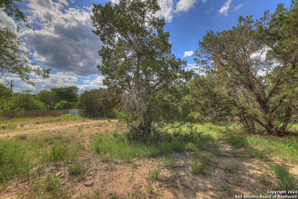 a view of a yard with lots of trees