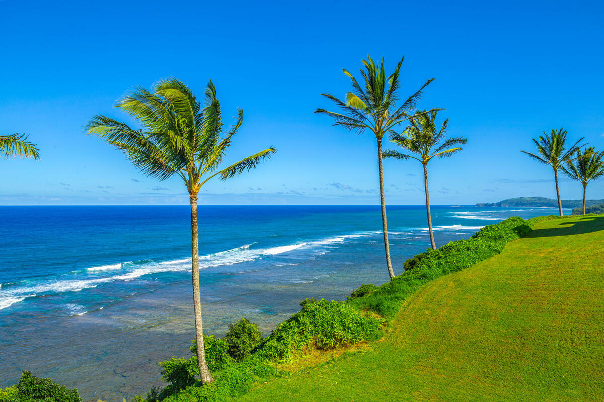 H2 Offers stunning views up the Anini Reef to the lighthouse from its ground level bluff top location.