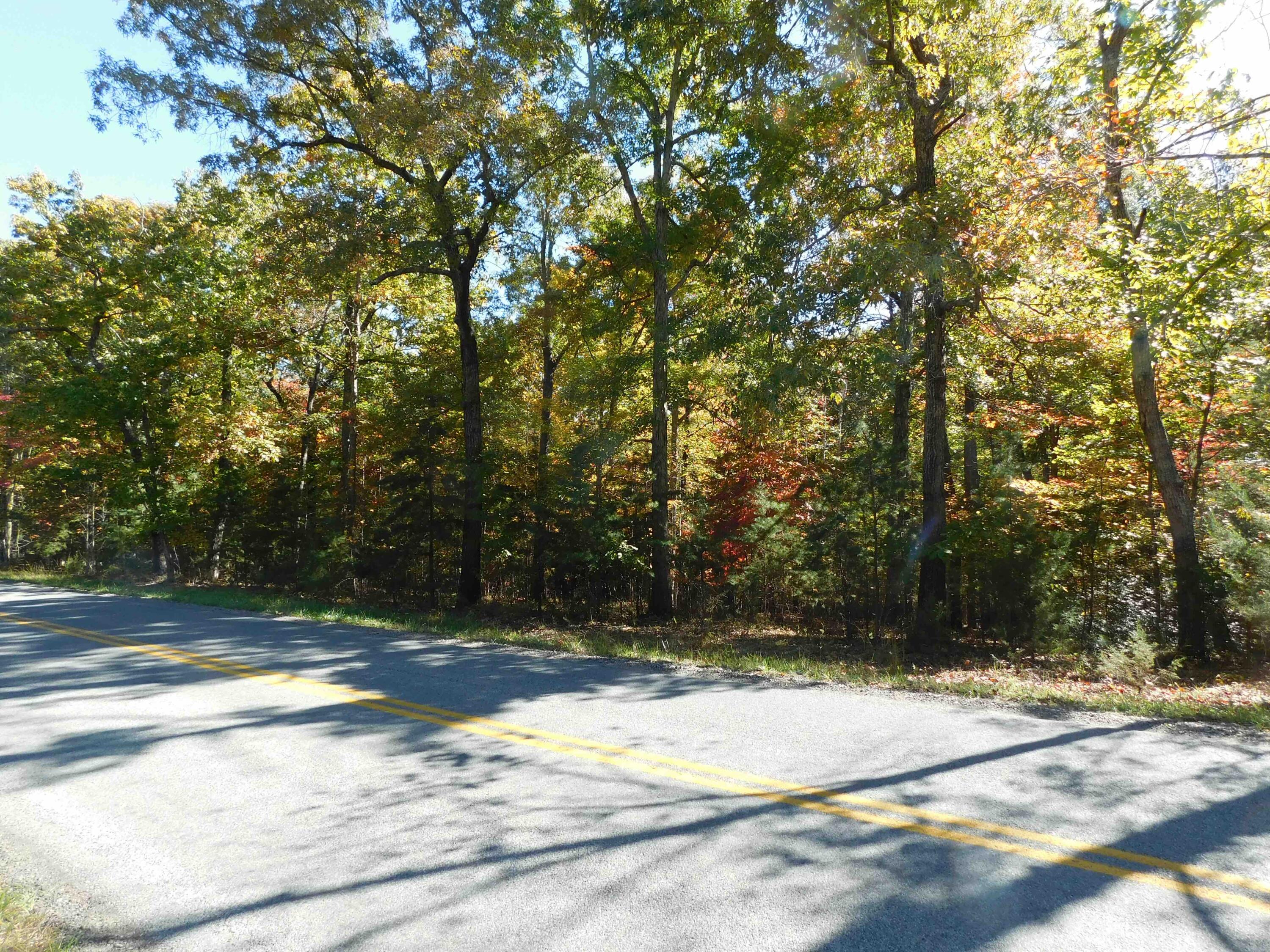 a view of backyard with trees