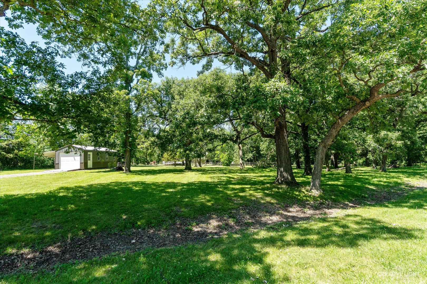 a view of a trees in a yard