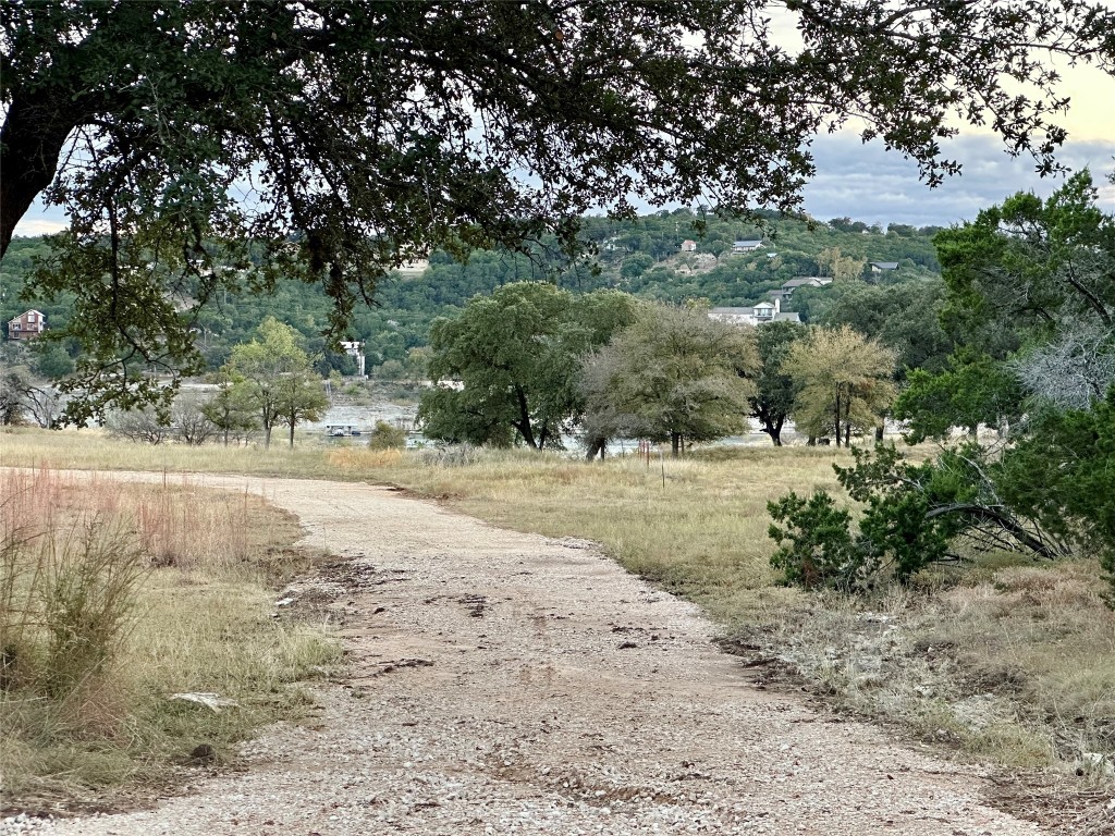 a view of a yard with a tree