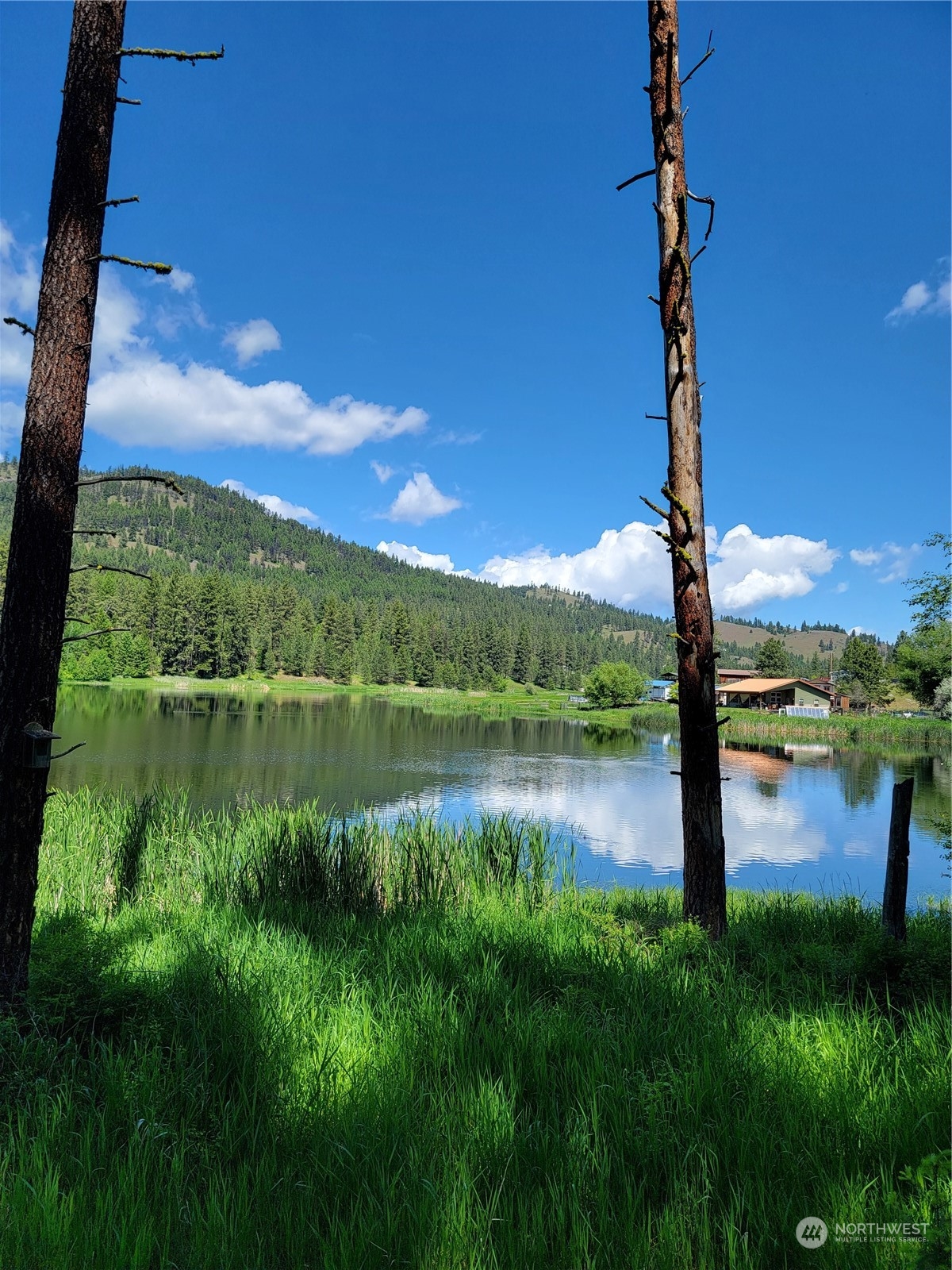 a view of lake with green space