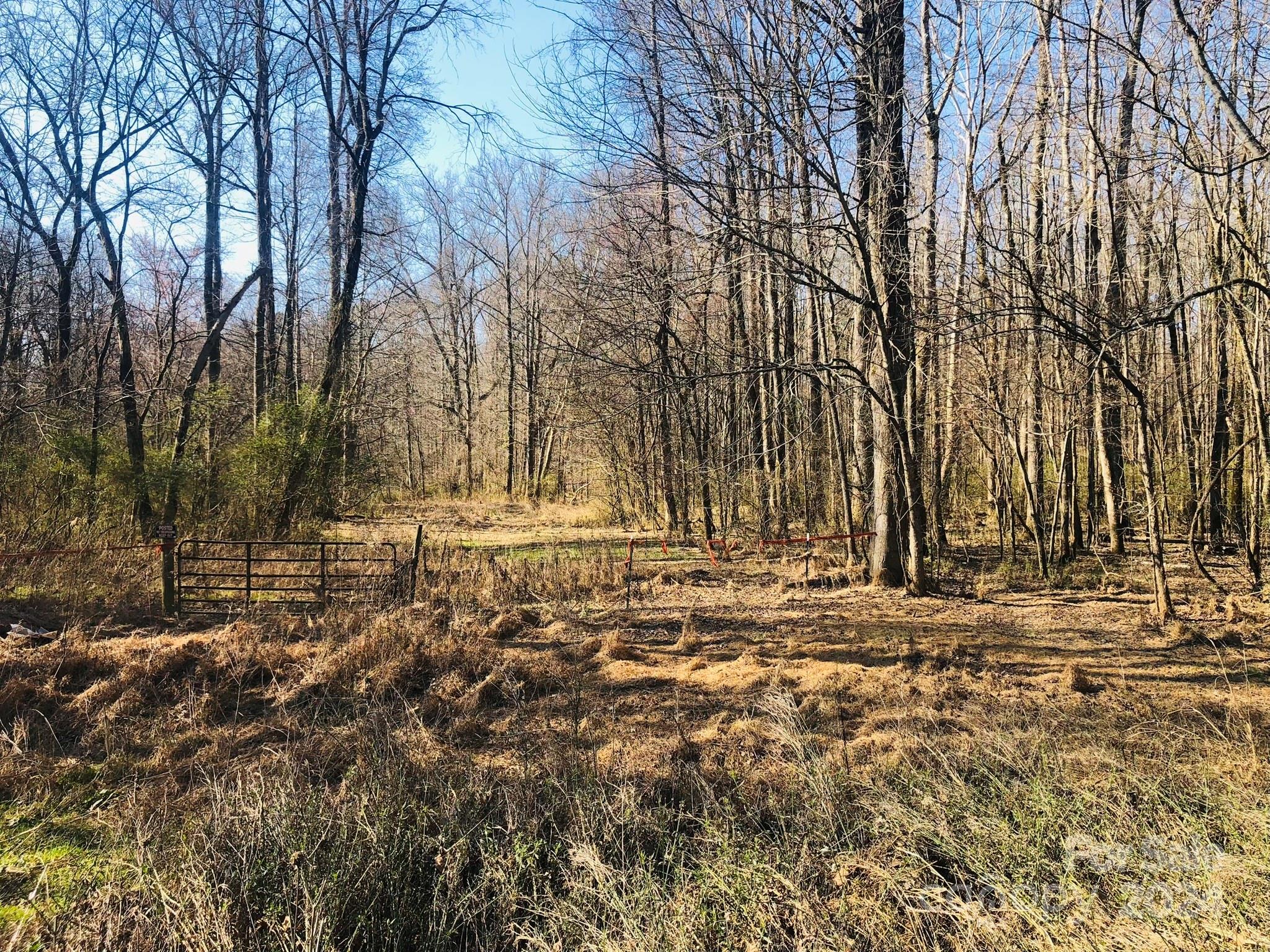 a view of yard with trees