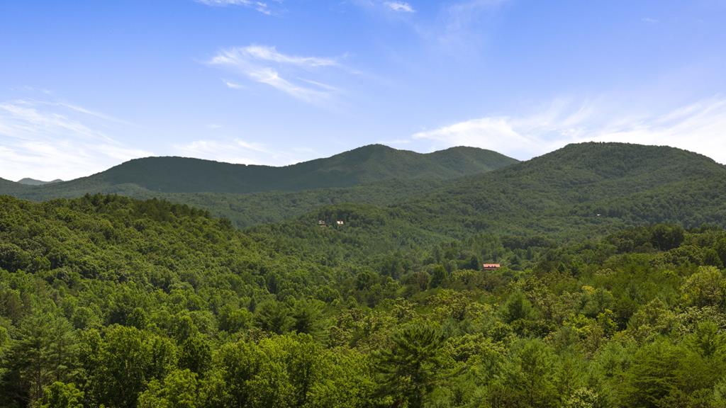 a view of a mountain range with lush green forest