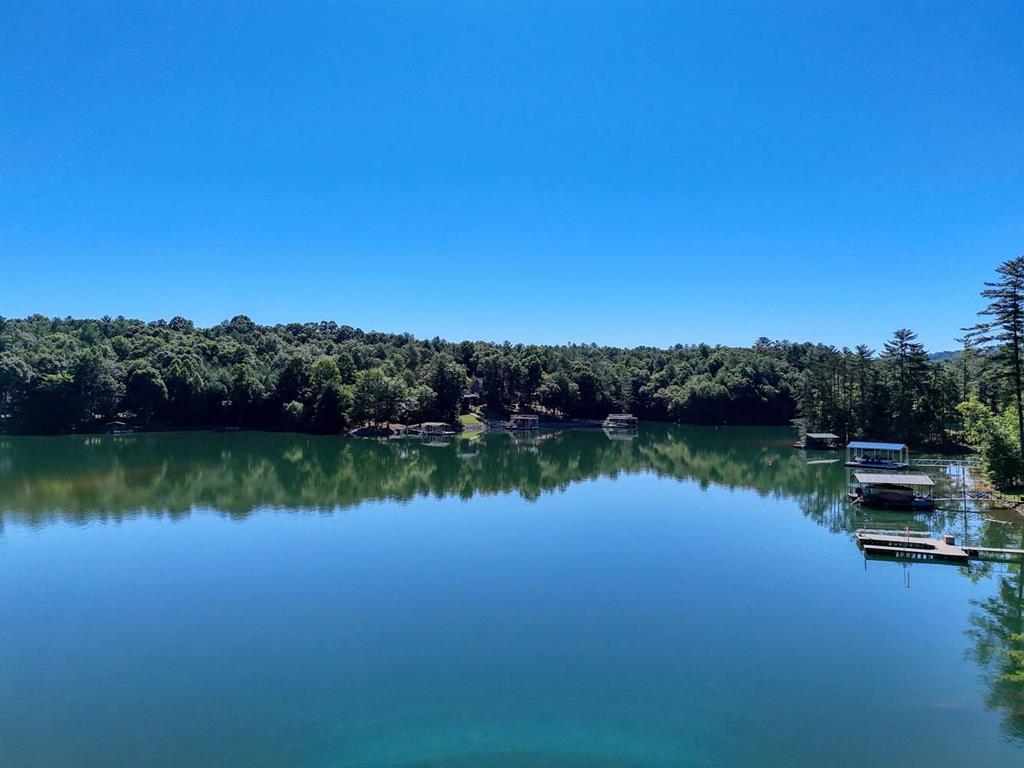 a view of a lake with a city view