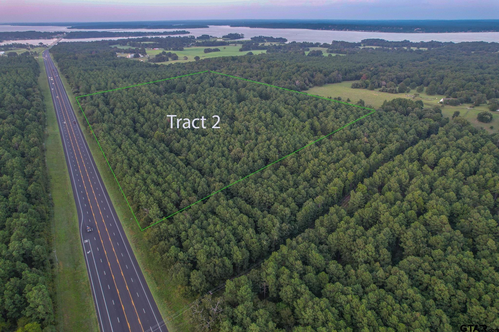 a view of a lush green forest with a lush green forest