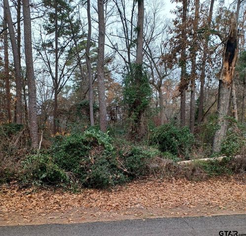 $17,000 | Tbd Robin Cove | Holly Lake Ranch