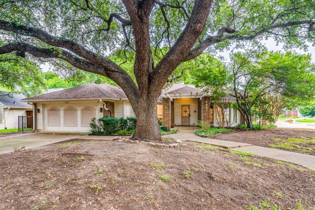 a front view of a house with a yard and large trees