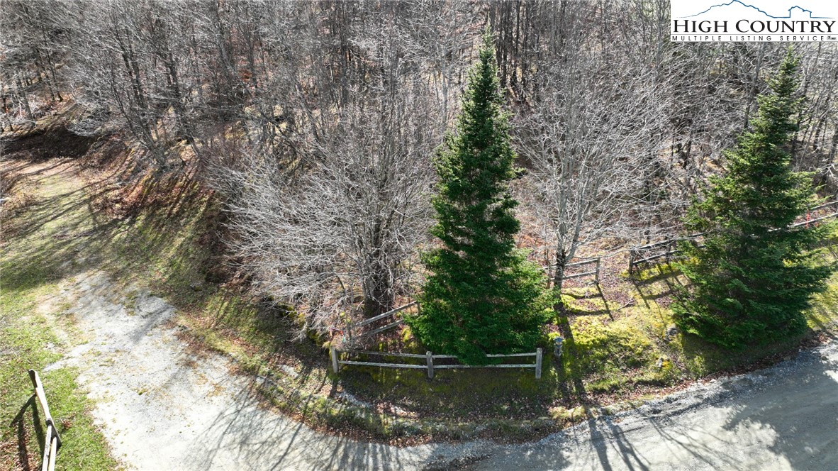 a water fountain in middle of tall trees