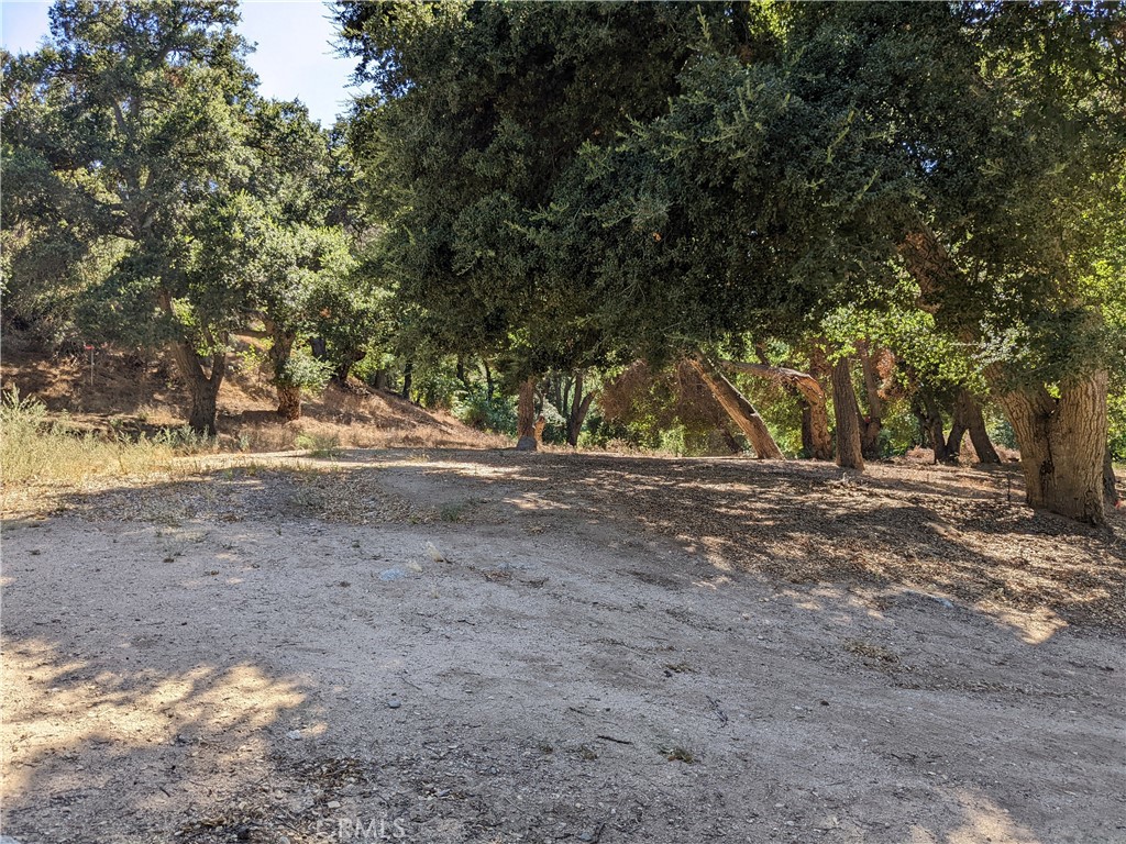 a view of dirt yard with a large tree