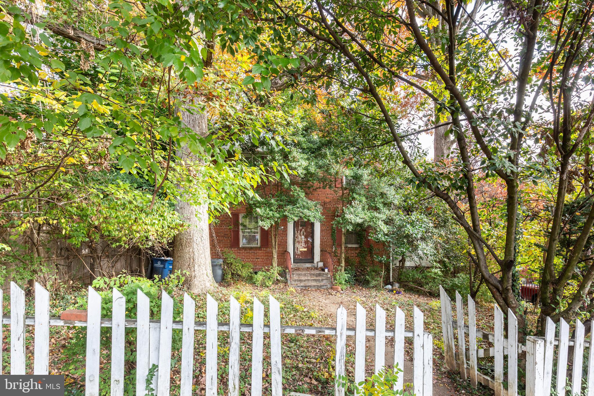 a front view of a house with a tree