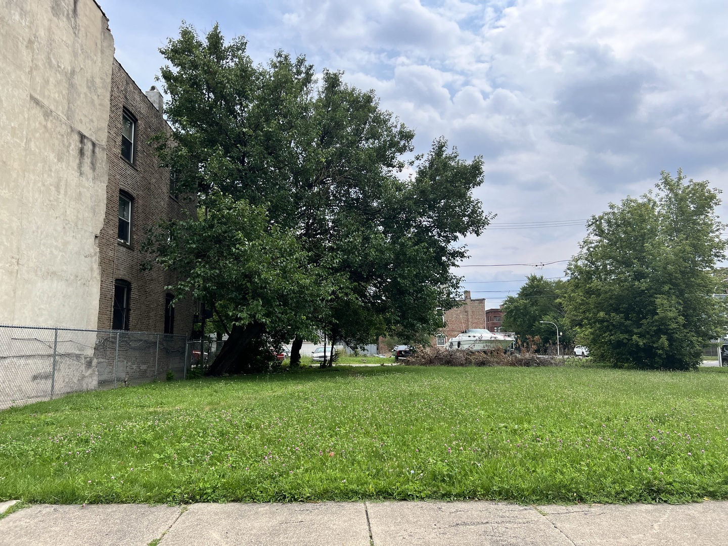 a view of yard with trees