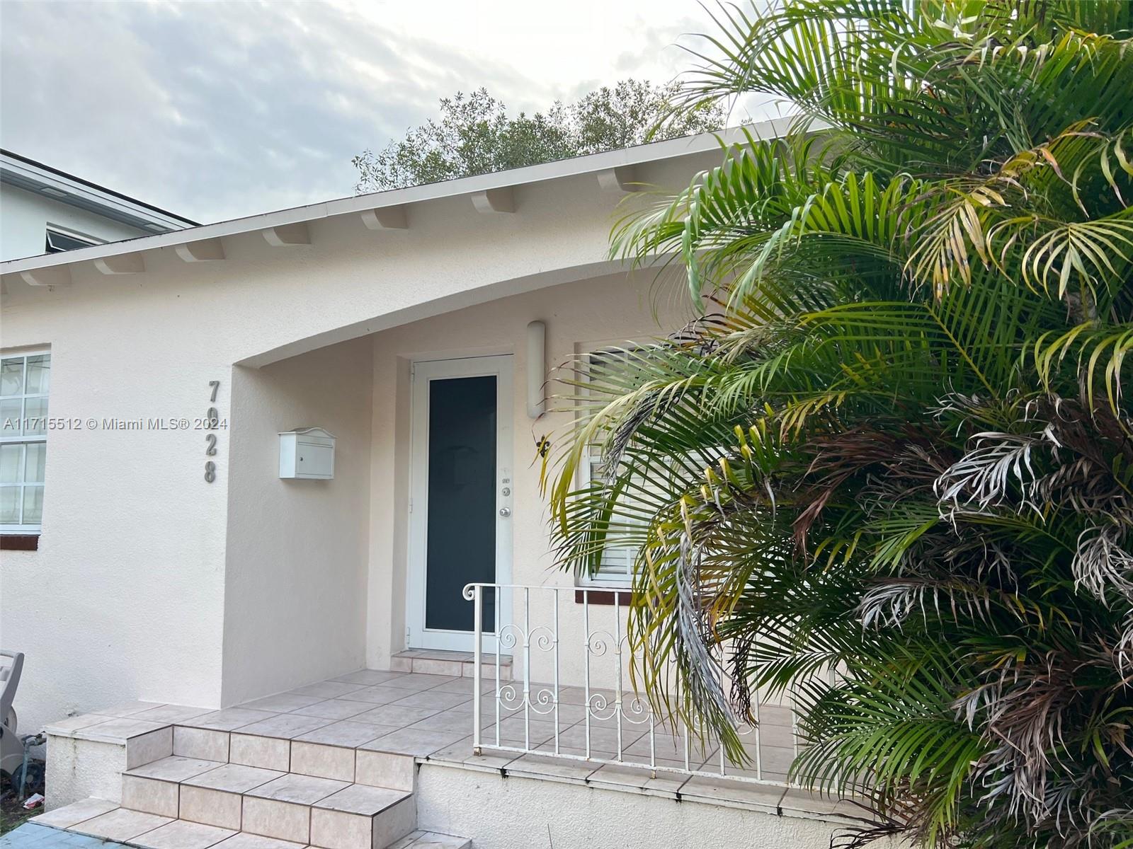 a view of backyard with a palm tree