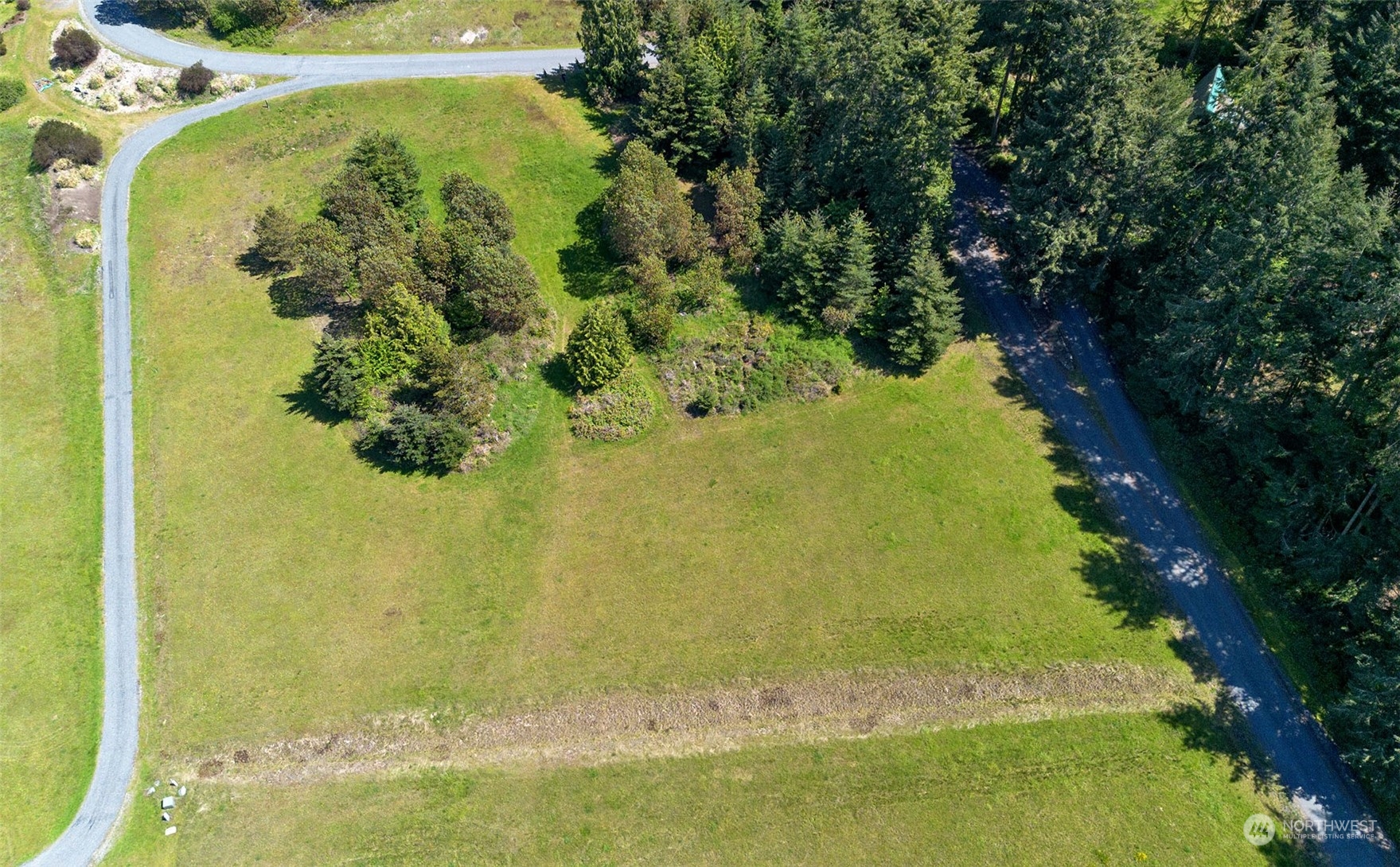 a view of a garden