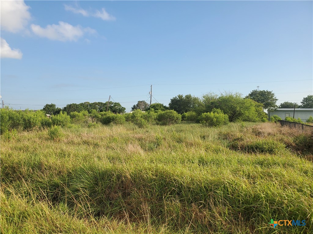 a view of a field of grass and trees