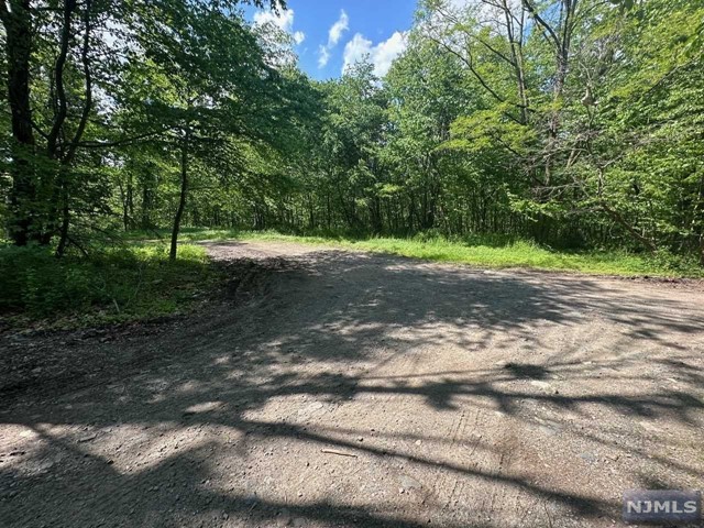 a view of a dirt road with trees in the background