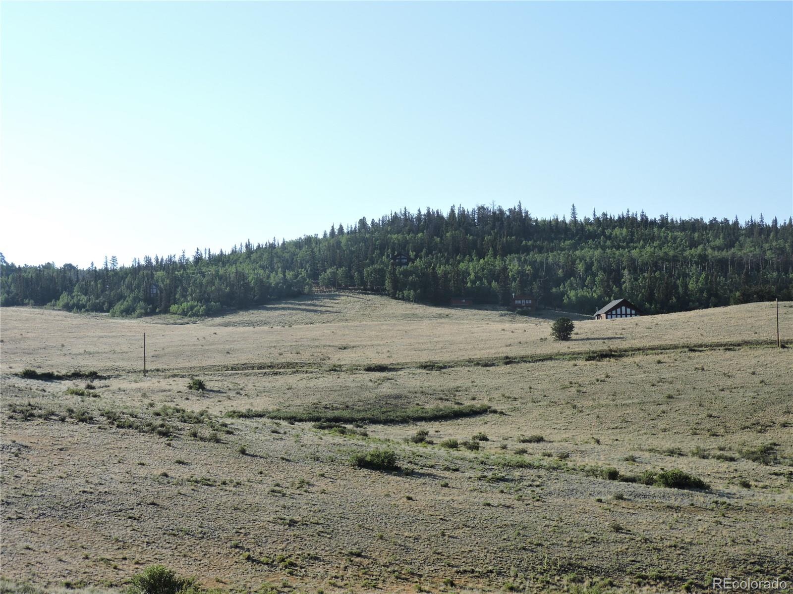 a view of dirt field with large trees