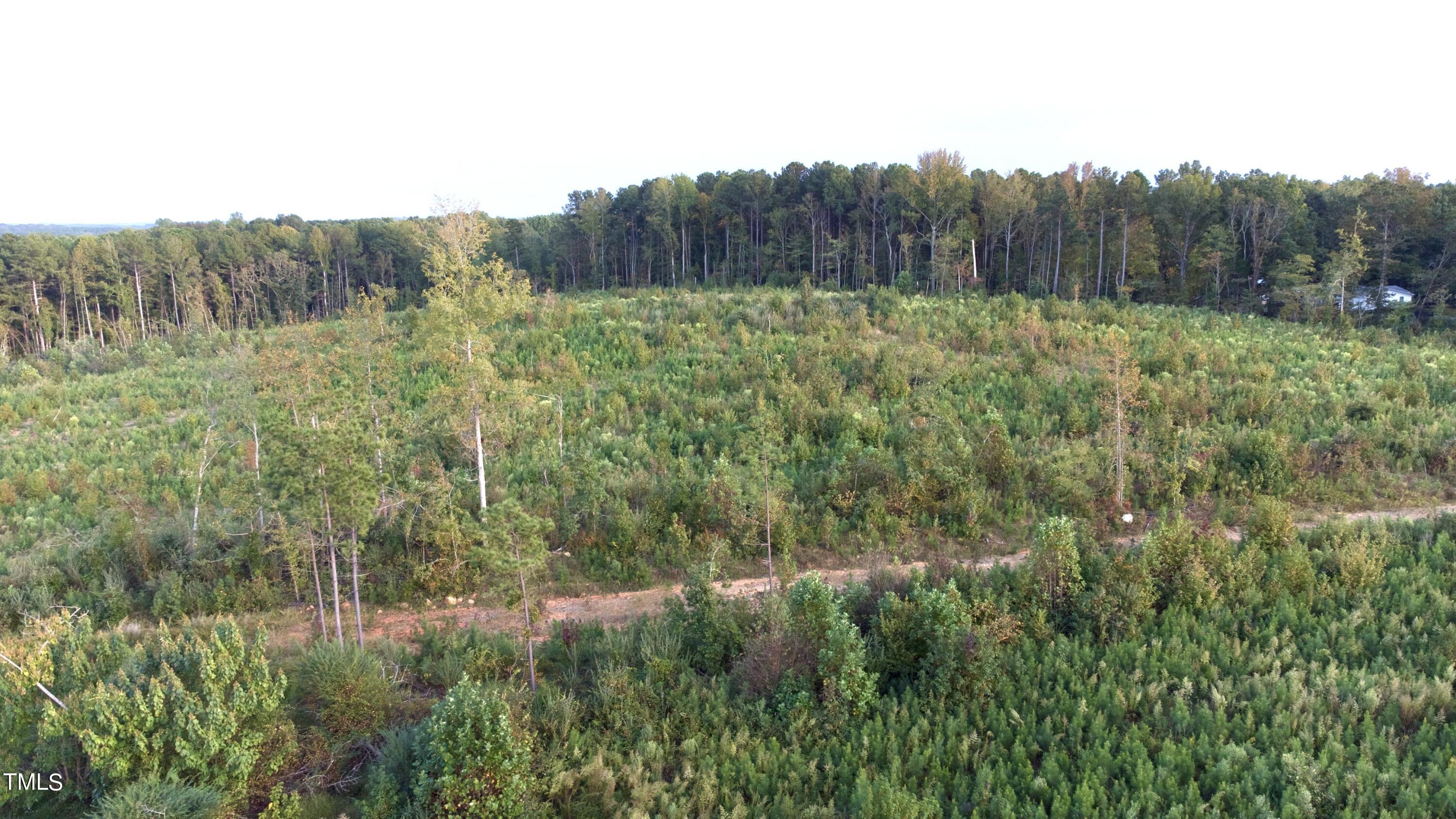 a view of a lush green forest with trees and a wooden fence