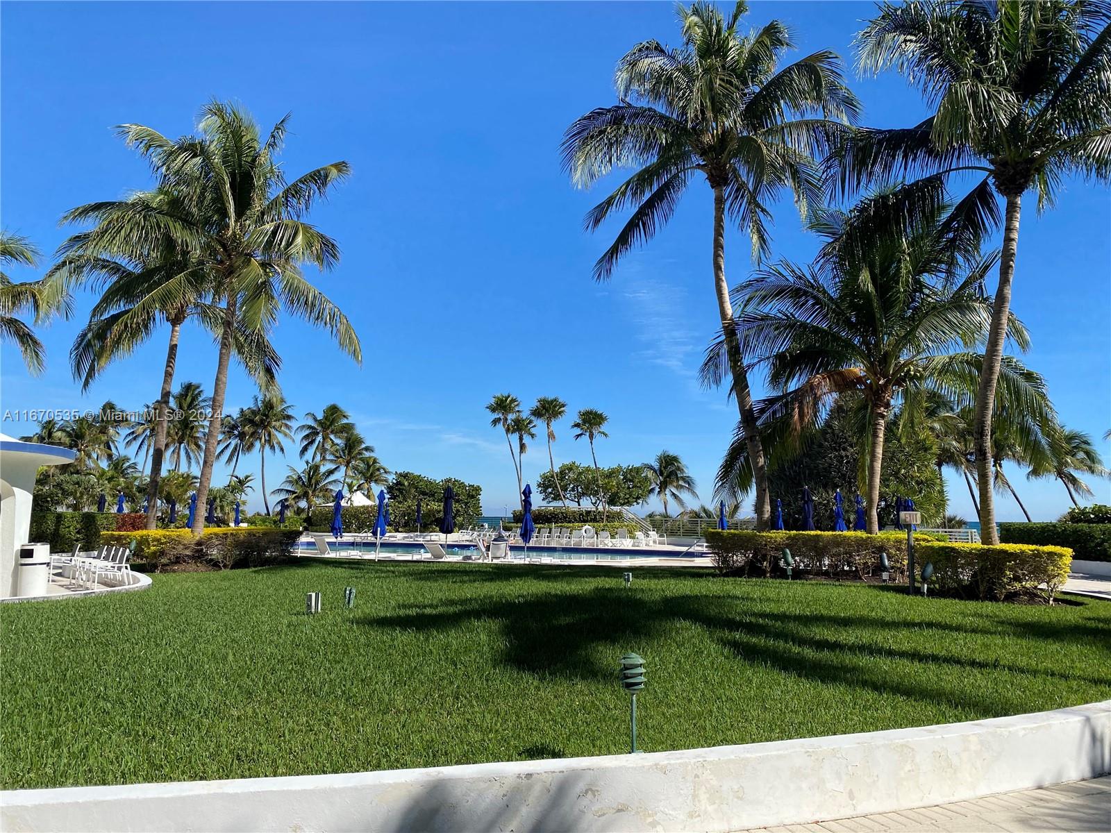 a view of a swimming pool with a garden and palm trees