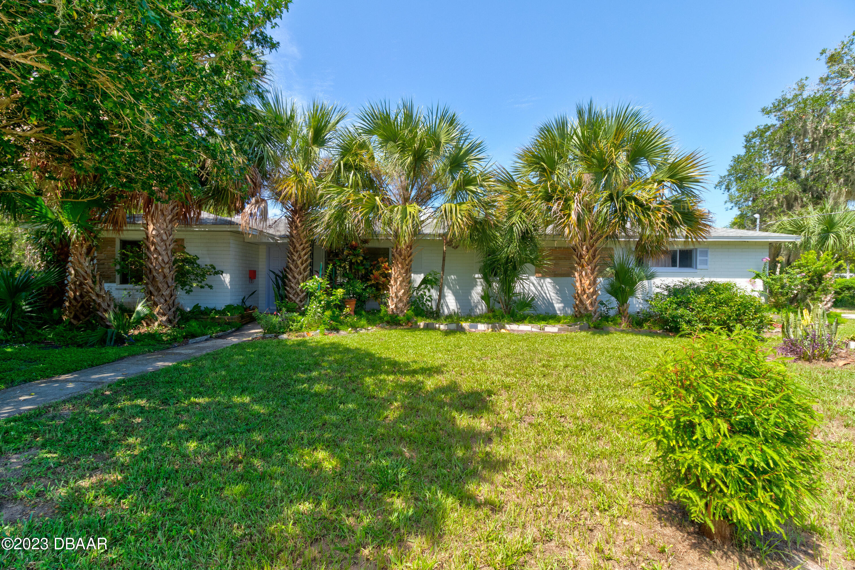 a view of a yard with palm trees