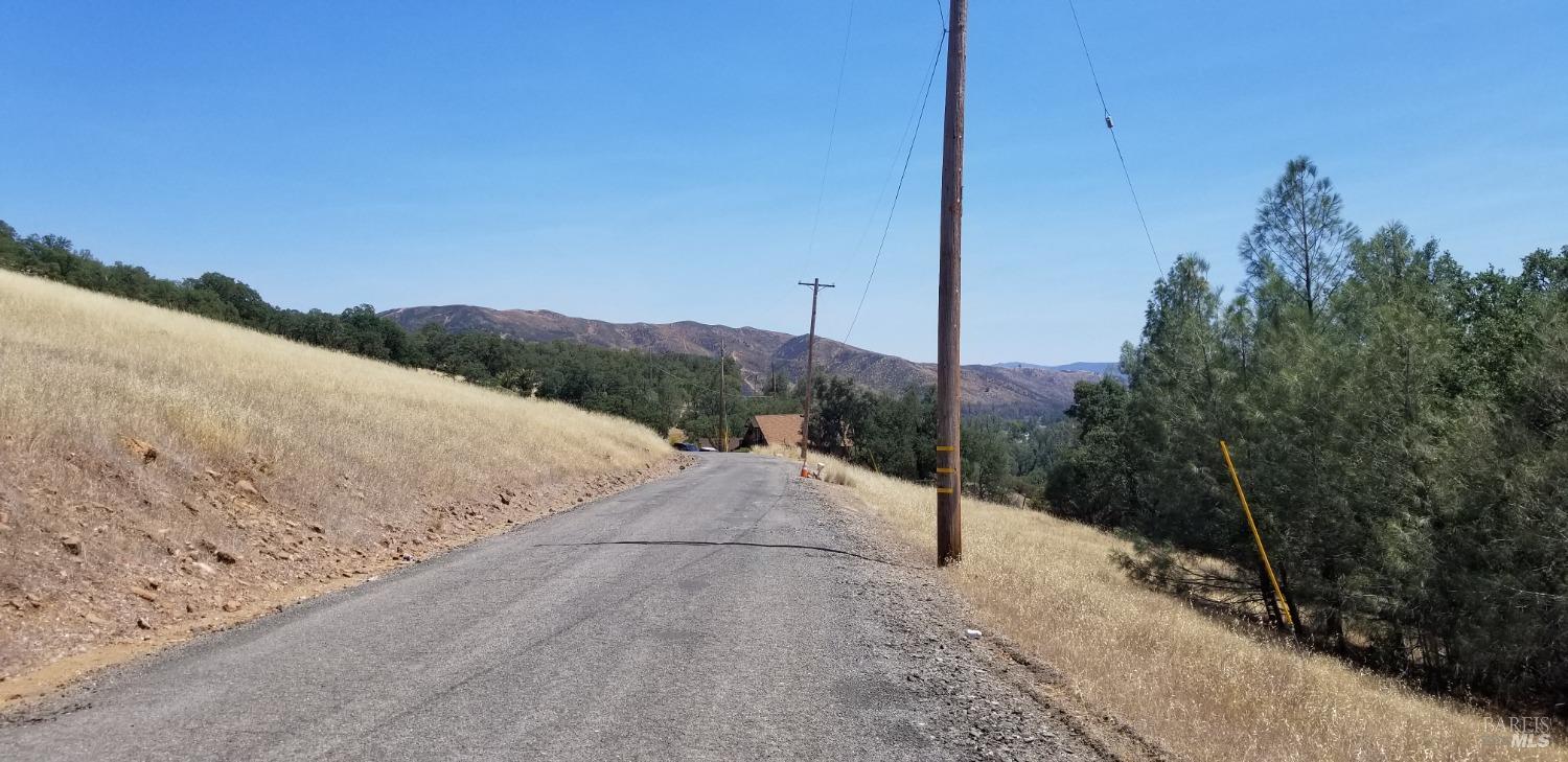 a view of a road with a tree in the background