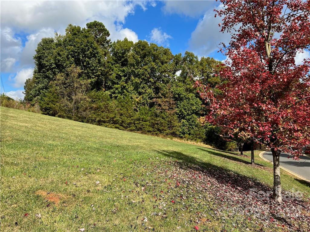 a view of a yard with a tree