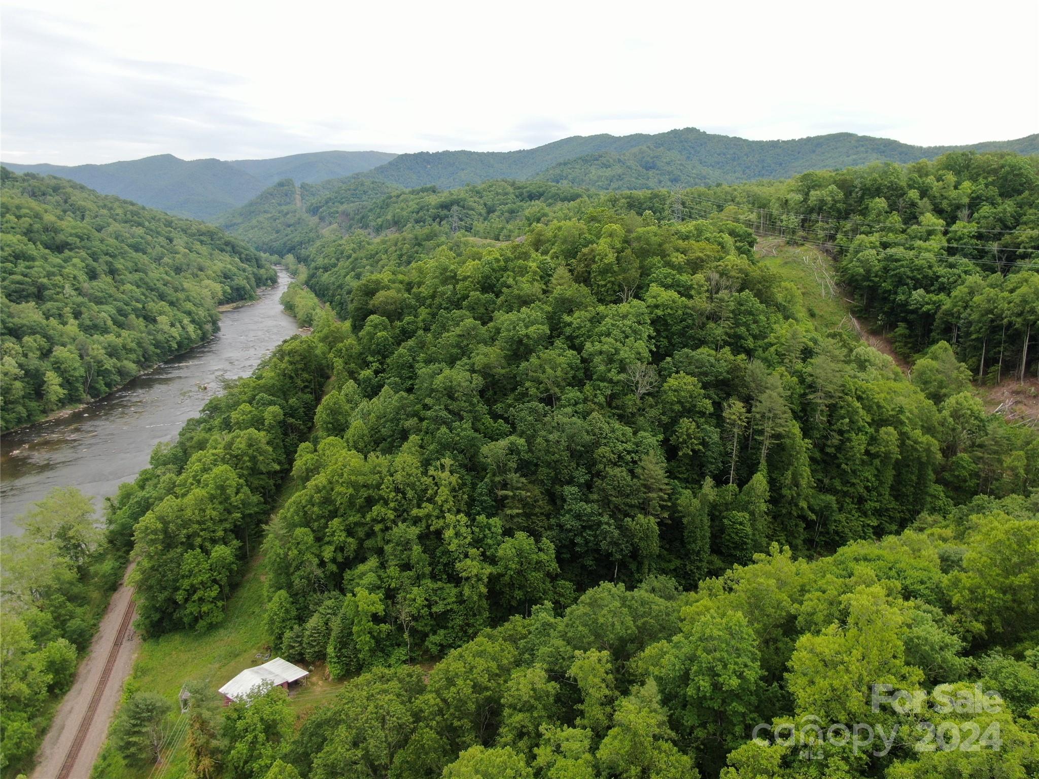 a view of a lush green forest with trees in the background