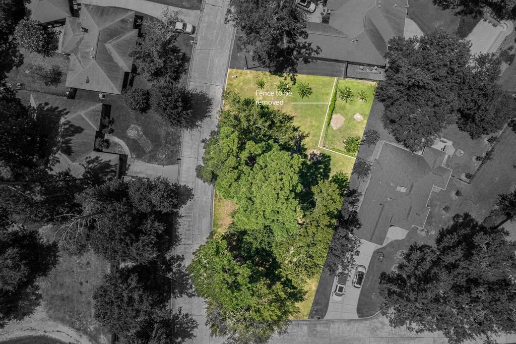 an aerial view of a yard with plants and flowers