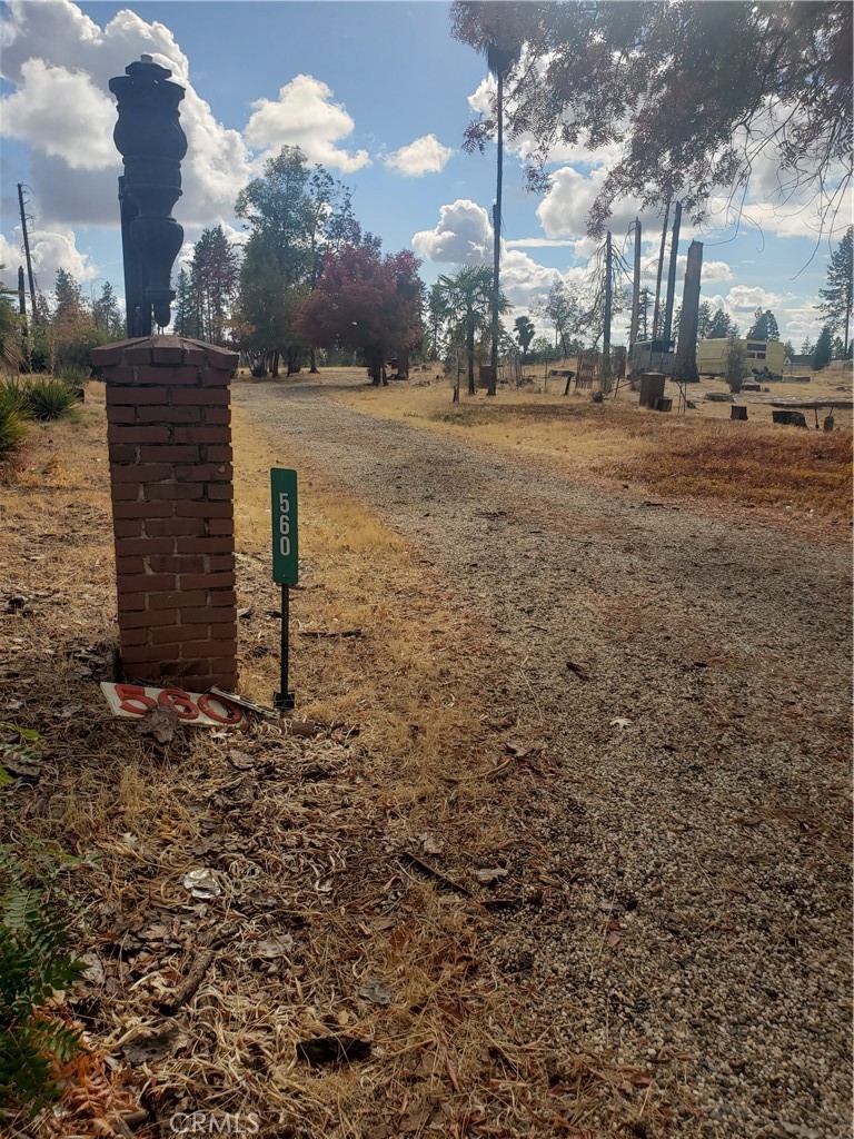 a view of a yard with wooden fence