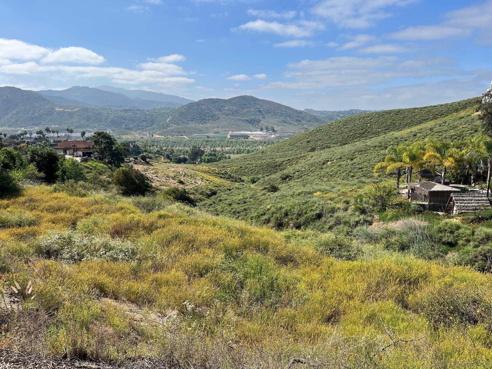 a view of a lush green hillside and houses