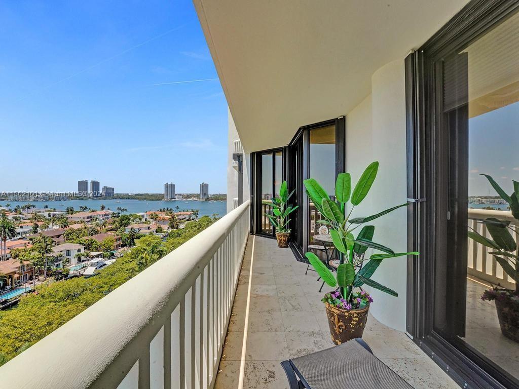 a view of a balcony with wooden floor and a potted plant