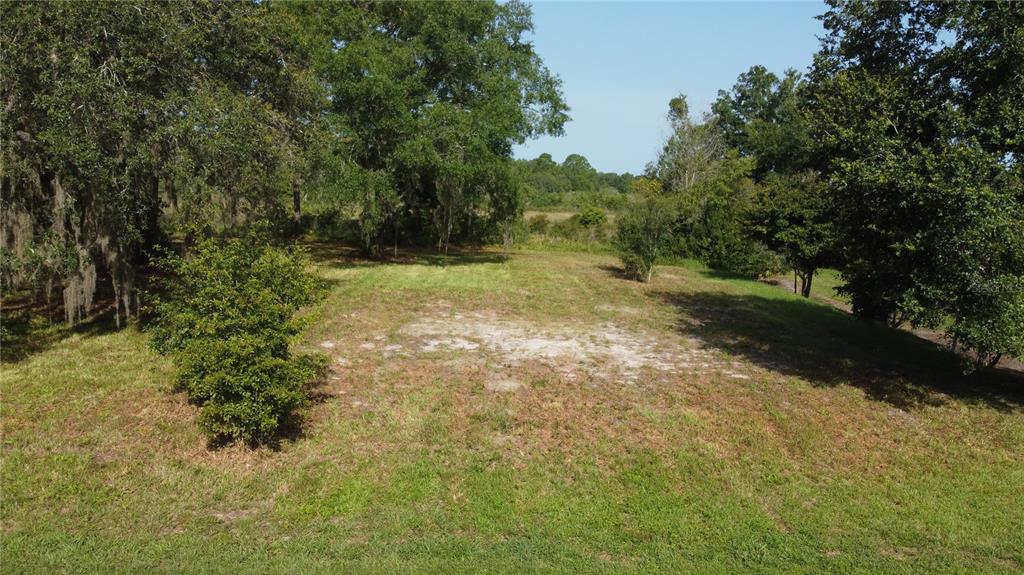 a view of yard with green space