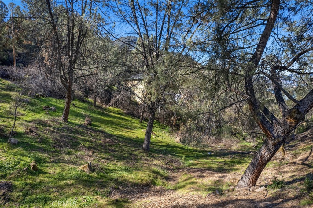 a view of a park