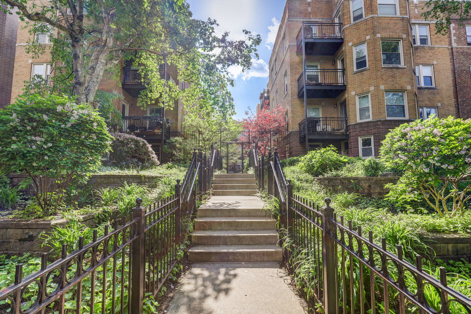 a view of a garden with pathway