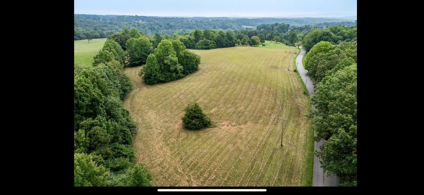 a view of a yard