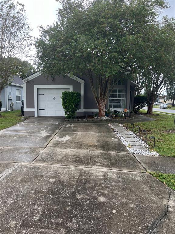 a view of a house with a yard and a large tree