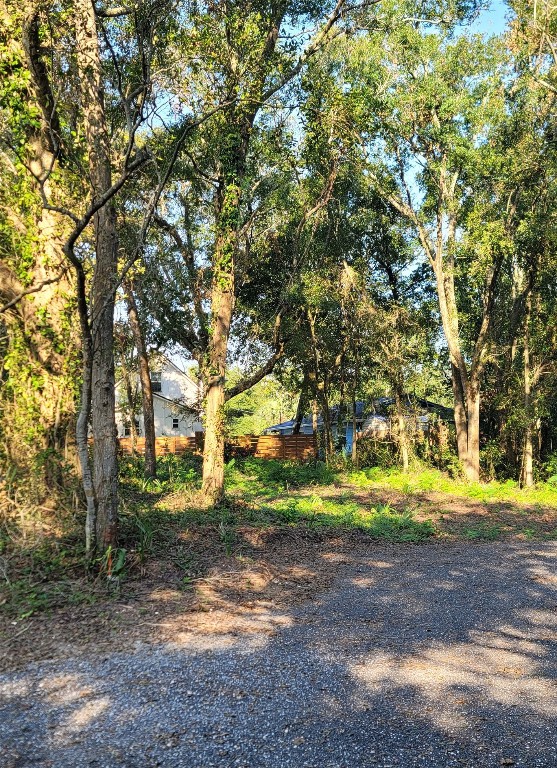 a view of dirt yard with a trees