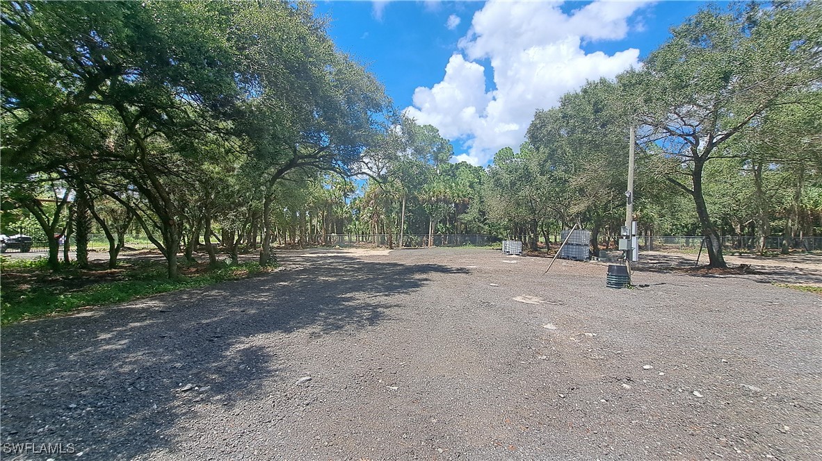 a view of road and trees