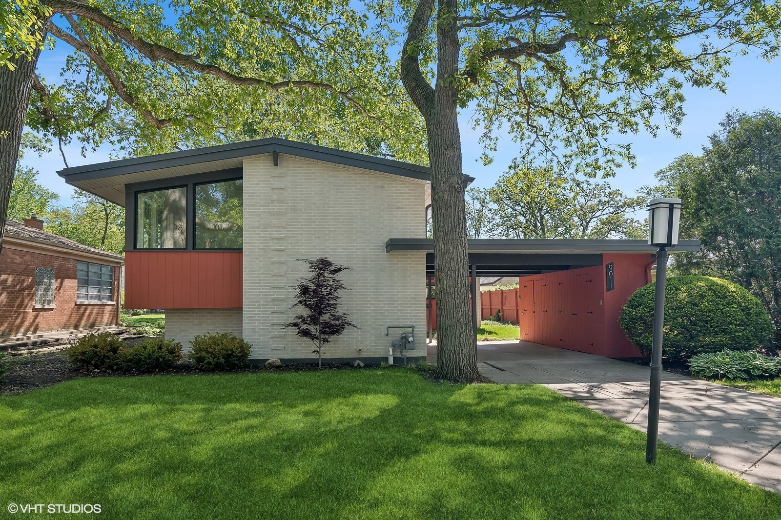 a view of a backyard with plants and large trees