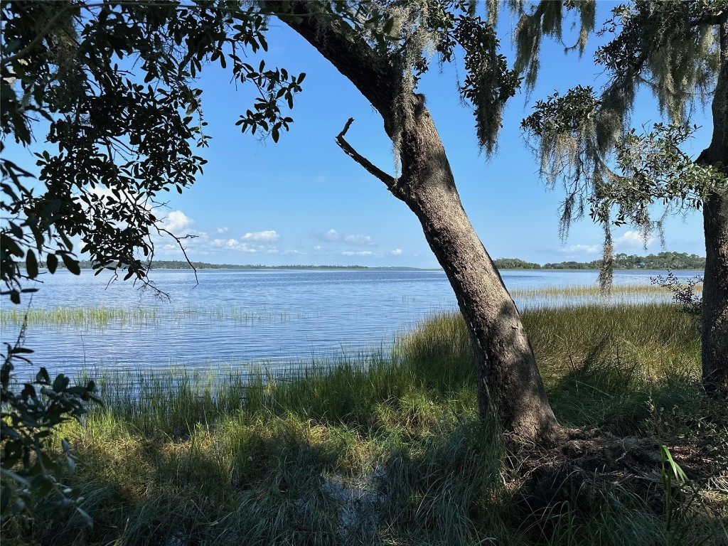 Northern Marshfront at High Tide