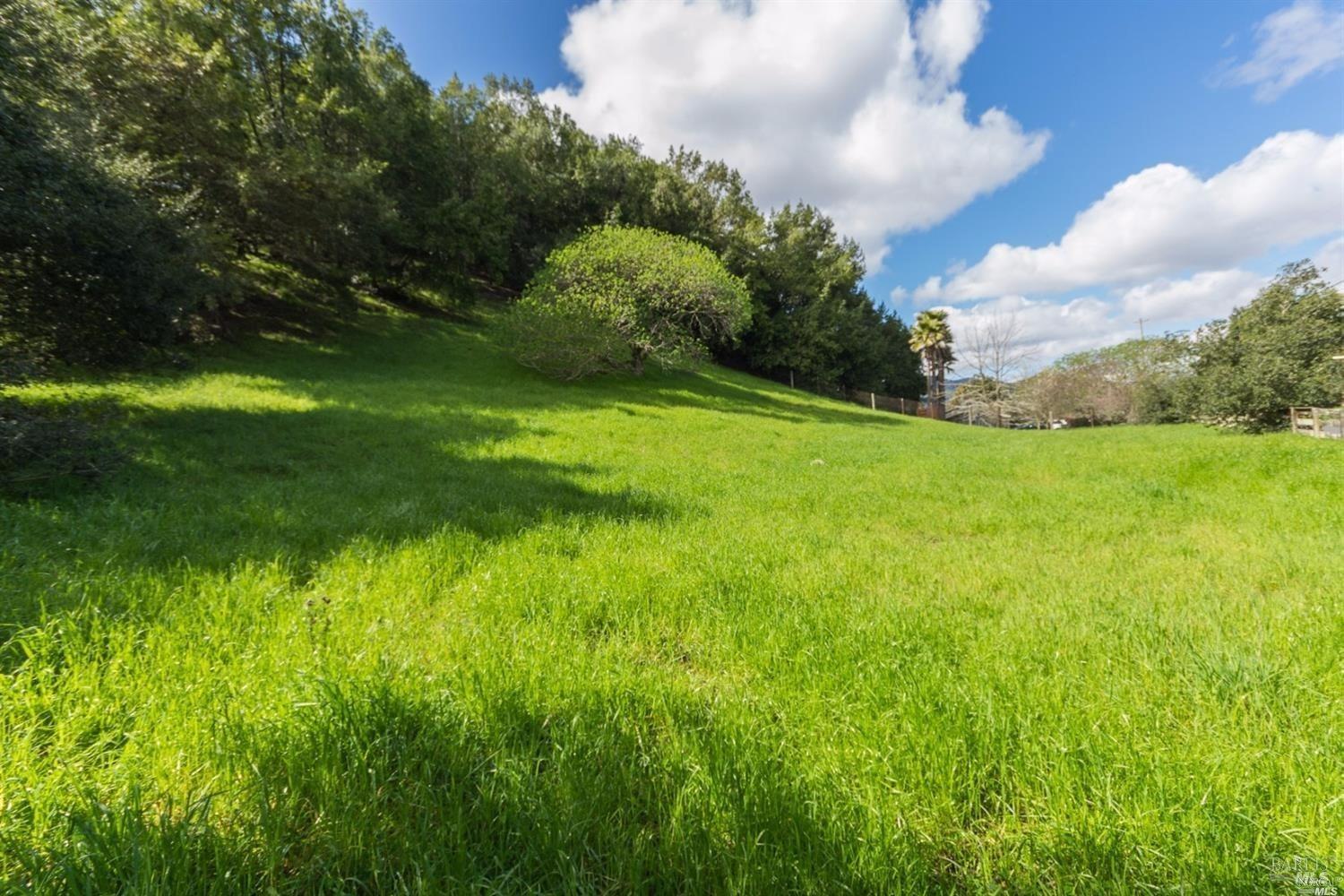 a view of an outdoor space and a yard