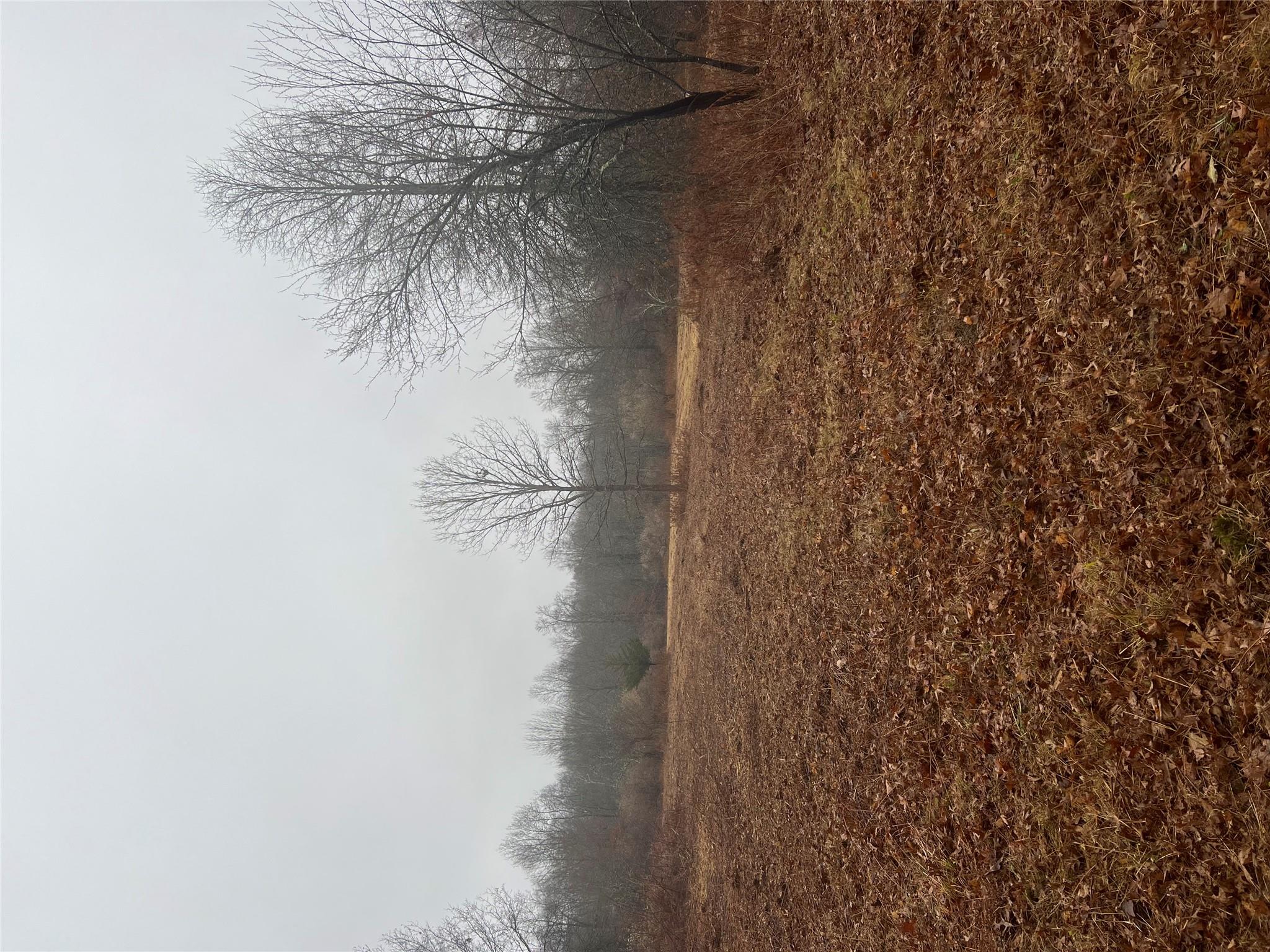 a view of a yard with an trees