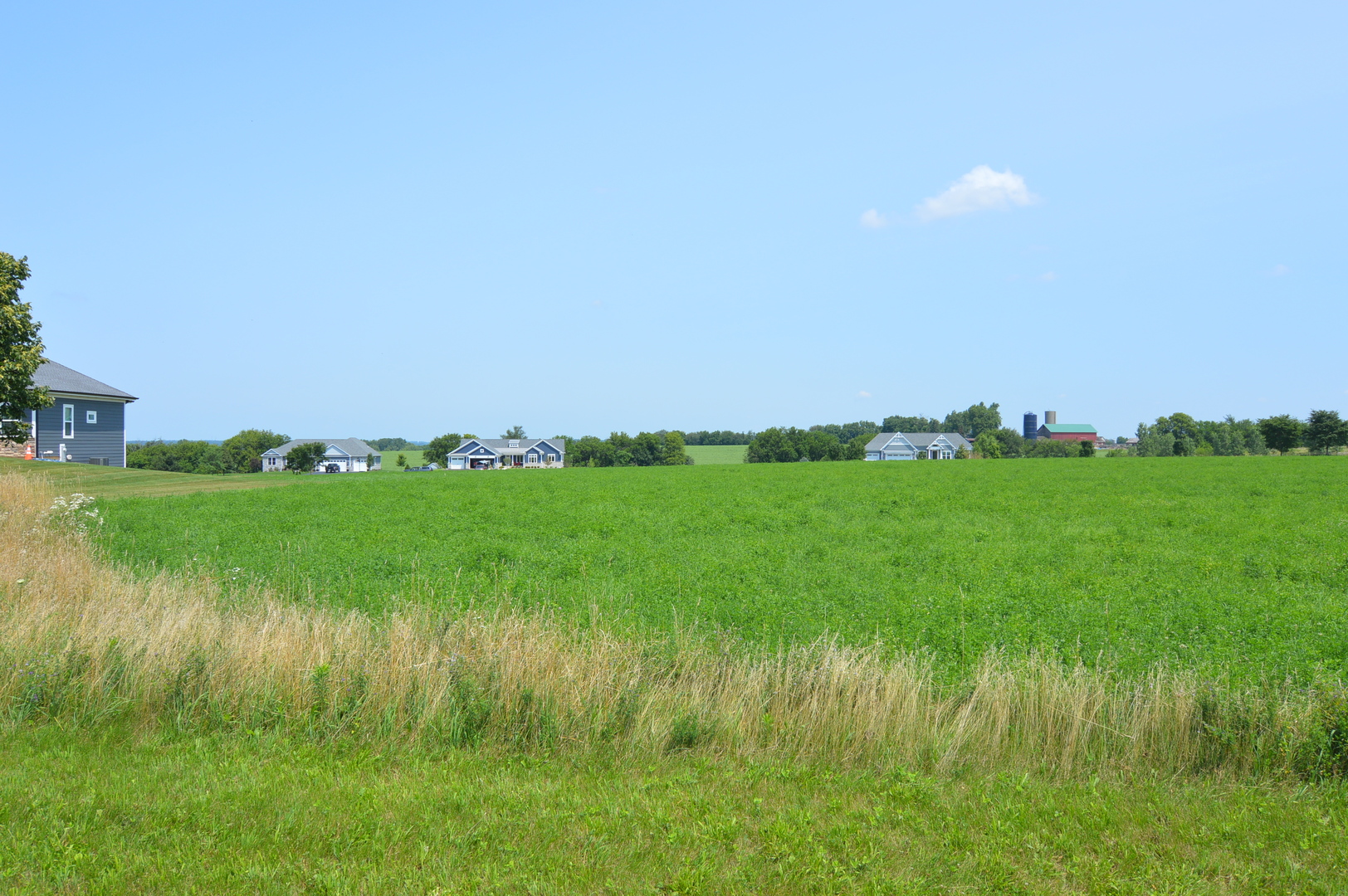 a view of a lush green field