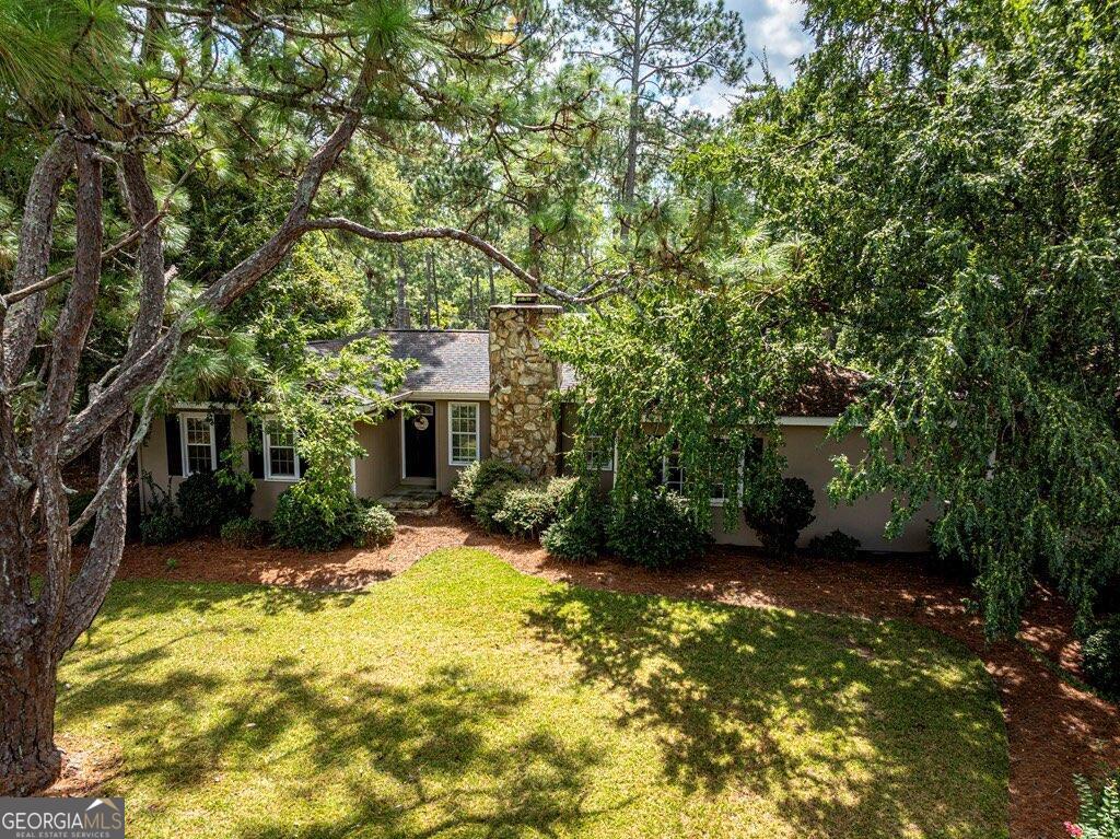 a view of a backyard with plants and large trees